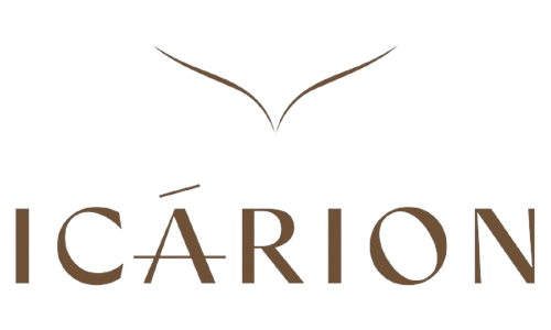 logo Icarion Travelintune