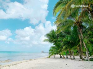 viaJAR A cOZUMEL