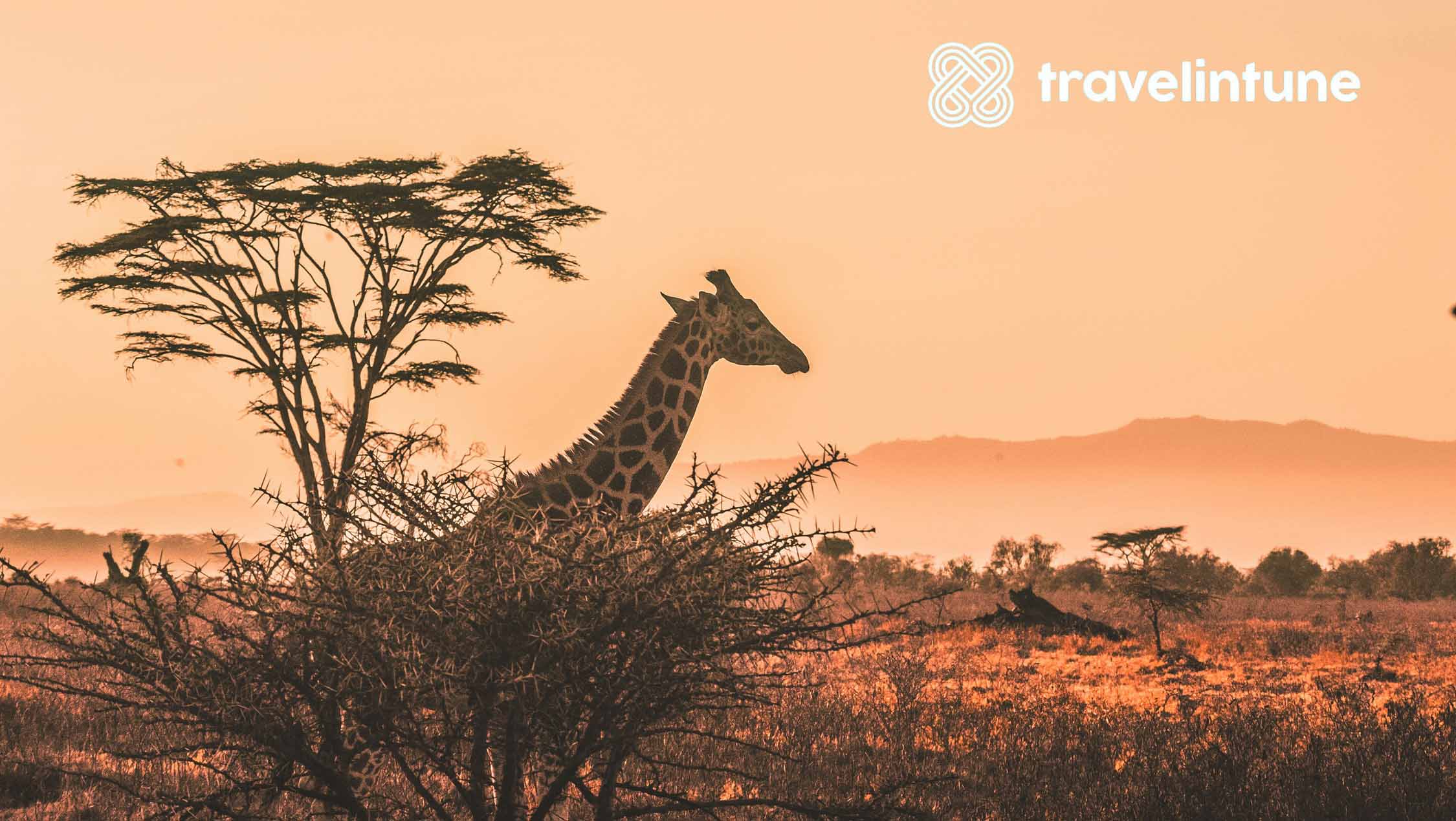 viajar a africa