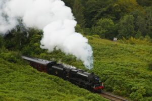 trenes de lujo viajes travelintune